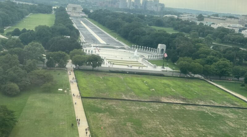 Trump blames vandals for dead grass on National Mall after July 4 celebration Trump blames vandals for dead grass on National Mall where he hosted 4th of July celebration