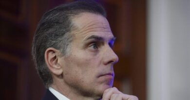 Hunter Biden to debut meme coin $LAPTOP, Wall Street Journal reports Hunter Biden to launch crypto meme coin