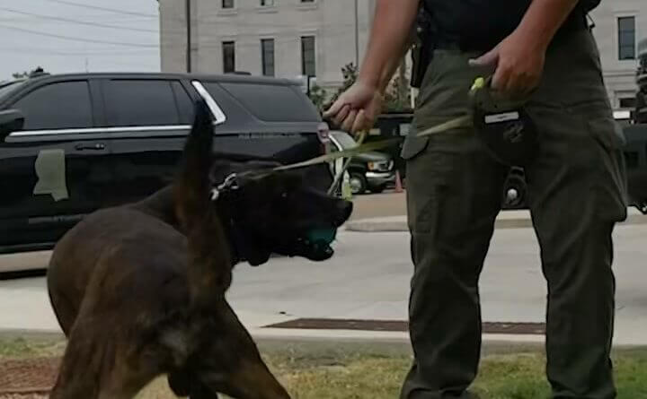 Mississippi DPS says K-9s showed playful antics during video shoot 🐾 POV: You’re trying to get a serious video of our K9 officers… and they have other plans