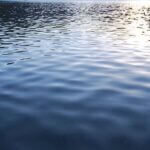 Prentiss County man drowns at Pickwick on Labor Day Small lake ripples and soft sunshine reflections. Useful for backgrounds.