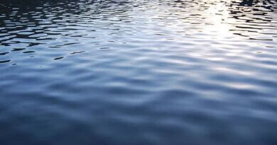 Prentiss County man drowns at Pickwick on Labor Day Prentiss County man drowns at Pickwick on Labor Day