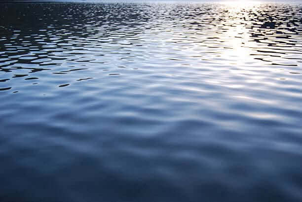 Prentiss County man drowns at Pickwick on Labor Day Prentiss County man drowns at Pickwick on Labor Day