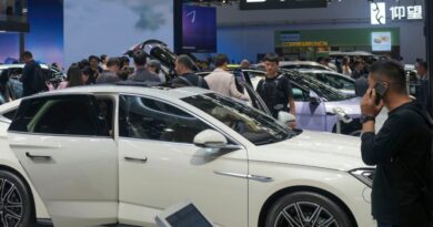 Auto trade group urges Congress to ban Chinese-made cars Auto companies call for ban on Chinese-made cars