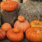 Middleton Fall Festival Season Opens Sept. 27 at Porters Creek Pumpkins stacked on hay bales, representing the Middleton fall festival season