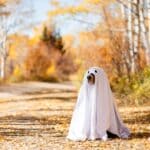 Ripley Tractor Supply to host Halloween pet photo event October 17 ripley-pet-halloween
