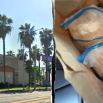 Man indicted after agents seize more than 40 pounds of meth at Dinuba pizza shop California pizza joint allegedly used as meth distribution hub as illegal immigrant charged