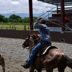 Tennessee Forest Festival Opens in Bolivar Sept. 24-26 Cowboy roping a calf in an outdoor rodeo arena, illustrating the Tennessee Forest Festival rodeo
