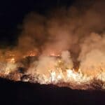 Mississippi Forestry Commission warns of high wildfire risk statewide starting Oct. 9, 2026 Mississippi faces high wildfire risk as Isaias approaches