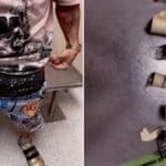 CBP officers at Miami International Airport find 10 live birds concealed on arriving passenger, federal complaint says Flight passenger's odd appearance at major US airport leads officers to wild discovery