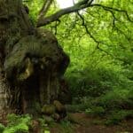 New 'Gruffalo Granny' named U.K.'s bestselling book of the year Photo by Ricardo Santanna on Pexels