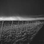 Tippah County Rain Returns: Storms Sunday, Showers Election Day Rain shower falling from dark storm clouds over open fields, illustrating Tippah County rain